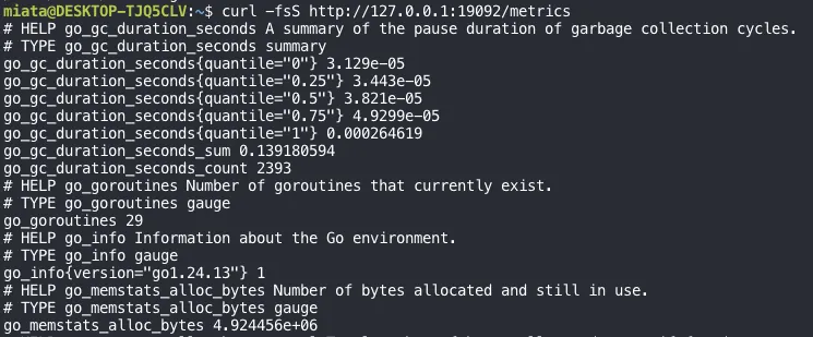 curl output of the metrics endpoint showing HELP and TYPE lines followed by values: go_gc_duration_seconds as a summary with quantiles, go_goroutines 29 as a gauge, go_info with version go1.24.13, and go_memstats_alloc_bytes as a gauge