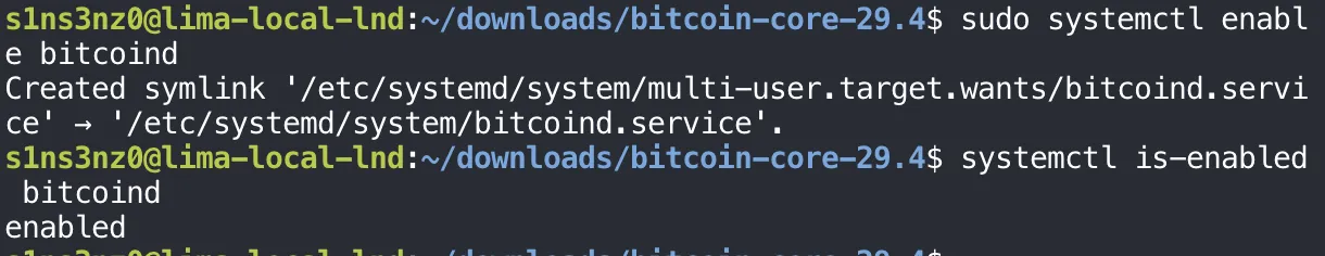 sudo systemctl enable bitcoind prints Created symlink '/etc/systemd/system/multi-user.target.wants/bitcoind.service' → '/etc/systemd/system/bitcoind.service'; systemctl is-enabled bitcoind prints enabled