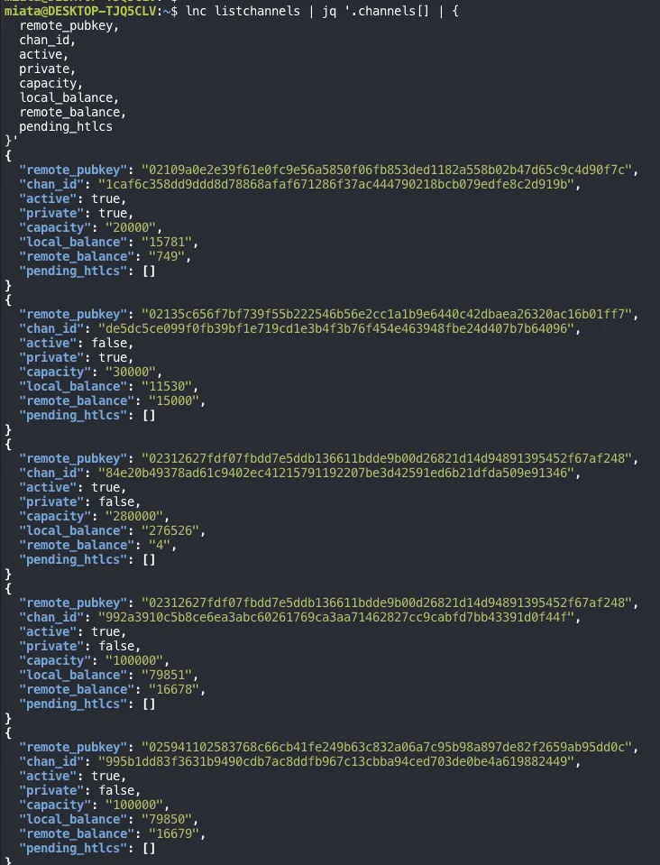 lnc listchannels filtered with jq: for each channel, remote_pubkey, chan_id, active, private, capacity, local_balance, remote_balance, and pending_htlcs. The first 5 of 7 channels are visible