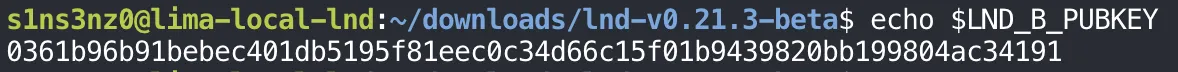 echo $LND_B_PUBKEY prints 0361b96b91bebec401db5195f81eec0c34d66c15f01b9439820bb199804ac34191