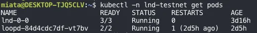 kubectl -n lnd-testnet get pods: the lnd-0-0 pod is 3/3 Running with 0 restarts, age 3 days 16 hours; the loopd pod is 2/2 Running with 1 restart 2 days 5 hours ago