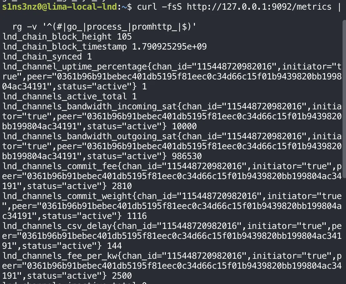 curl -fsS http://127.0.0.1:9092/metrics piped into rg -v '^(#|go_|process_|promhttp_|$)' prints lnd_chain_block_height 105, lnd_chain_block_timestamp 1.790925295e+09, lnd_chain_synced 1, lnd_channel_uptime_percentage 1, lnd_channels_active_total 1, lnd_channels_bandwidth_incoming_sat 10000, lnd_channels_bandwidth_outgoing_sat 986530, lnd_channels_commit_fee 2810, lnd_channels_commit_weight 1116, lnd_channels_csv_delay 144, lnd_channels_fee_per_kw 2500, each per-channel metric labeled chan_id="115448720982016", initiator="true", peer="0361b96b…4191", status="active"