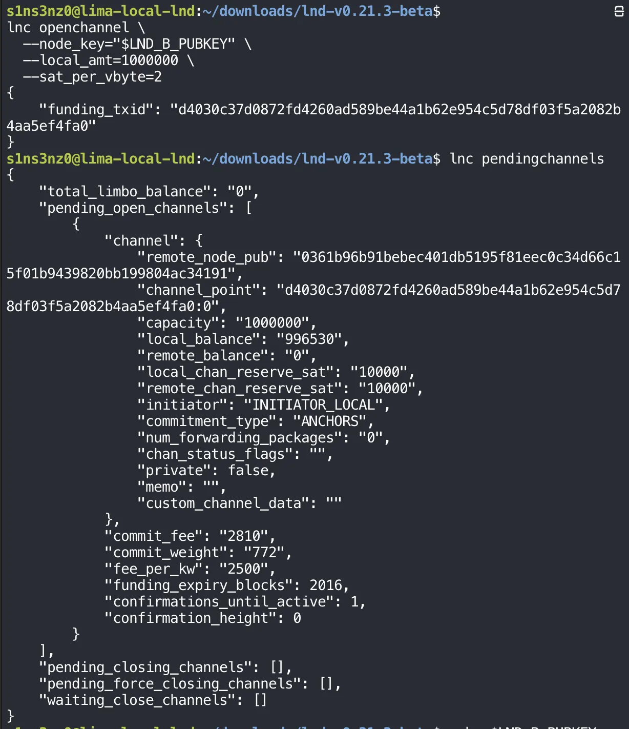 lnc openchannel --node_key="$LND_B_PUBKEY" --local_amt=1000000 --sat_per_vbyte=2 returns funding_txid d4030c37d0872fd4260ad589be44a1b62e954c5d78df03f5a2082b4aa5ef4fa0; lnc pendingchannels lists one pending open channel: remote_node_pub 0361b96b…4191, channel_point d4030c37…4fa0:0, capacity 1000000, local_balance 996530, remote_balance 0, local and remote chan_reserve_sat 10000, initiator INITIATOR_LOCAL, commitment_type ANCHORS, private false; commit_fee 2810, commit_weight 772, fee_per_kw 2500, funding_expiry_blocks 2016, confirmations_until_active 1, confirmation_height 0