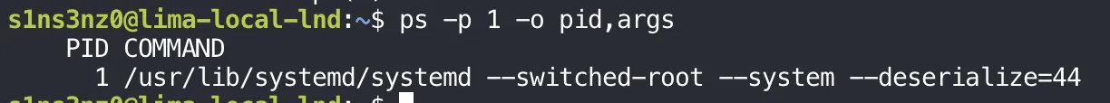 ps -p 1 -o pid,args inside the VM: PID 1 is /usr/lib/systemd/systemd --switched-root --system --deserialize=44