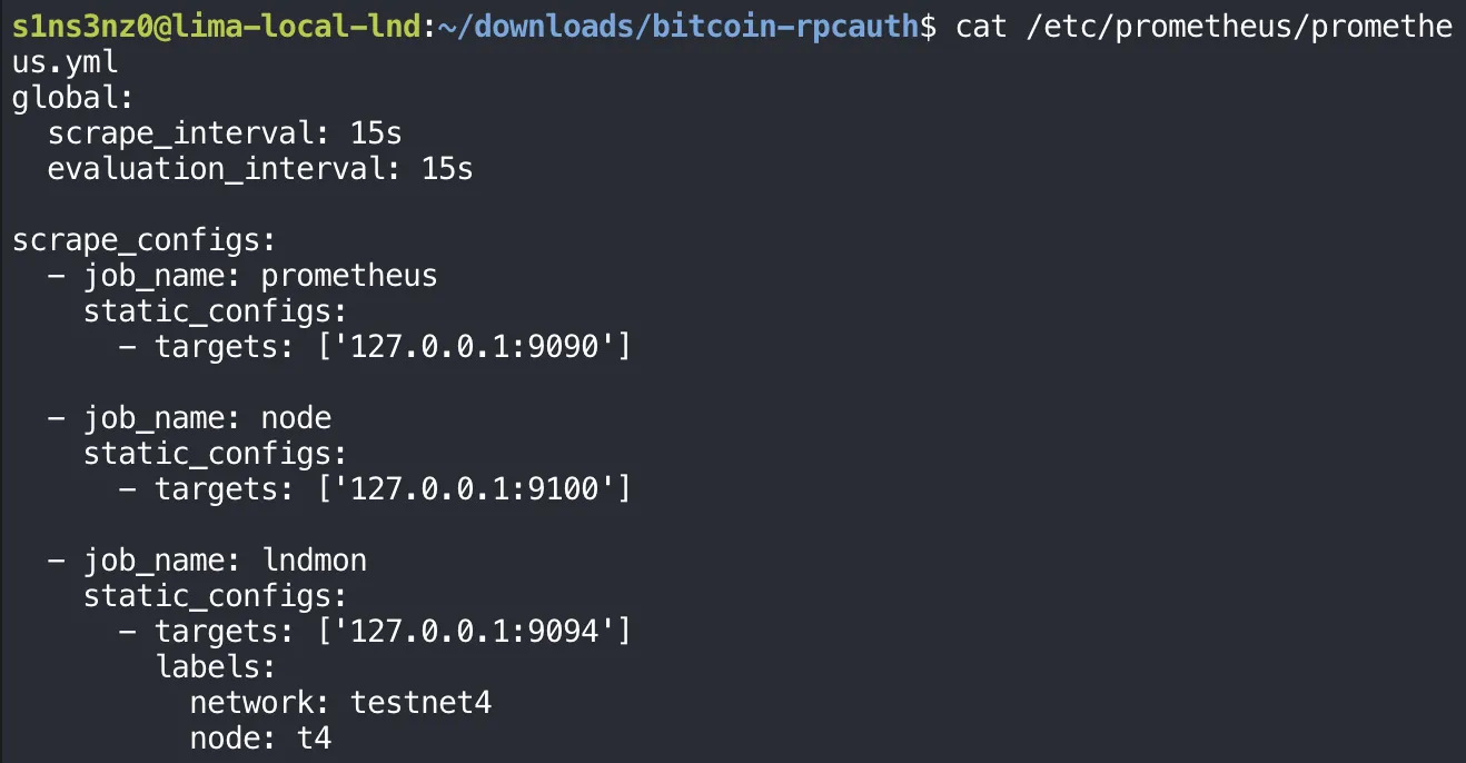 cat /etc/prometheus/prometheus.yml: global scrape_interval 15s and evaluation_interval 15s; scrape_configs with job prometheus targeting 127.0.0.1:9090, job node targeting 127.0.0.1:9100, and job lndmon targeting 127.0.0.1:9094 with labels network: testnet4 and node: t4