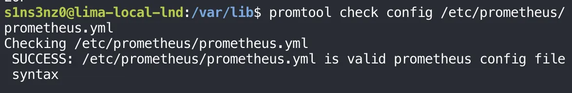 promtool check config /etc/prometheus/prometheus.yml prints Checking /etc/prometheus/prometheus.yml and SUCCESS: /etc/prometheus/prometheus.yml is valid prometheus config file syntax