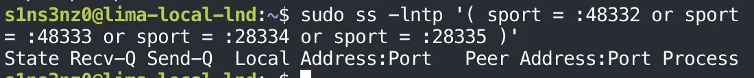 sudo ss -lntp '( sport = :48332 or sport = :48333 or sport = :28334 or sport = :28335 )' prints only the header line, State Recv-Q Send-Q Local Address:Port Peer Address:Port Process, with no sockets below it