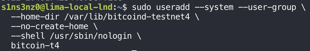 sudo useradd --system --user-group --home-dir /var/lib/bitcoind-testnet4 --no-create-home --shell /usr/sbin/nologin bitcoin-t4, with no output