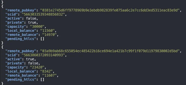 The end of lnc listchannels in the WSL terminal: an inactive private 30,000-sat channel with 0381e2…, and a 23,420-sat channel with the Mac node 03a9b9… (scid 5663860372093140993, active, public, local 8,342, remote 11,607)